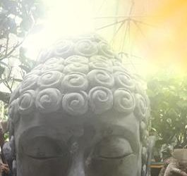 To Be Or Not To Be… Authentic