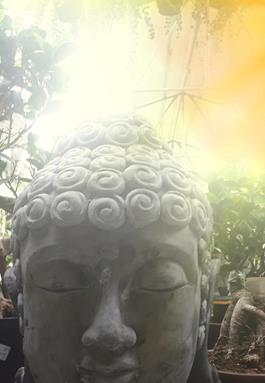 To Be Or Not To Be… Authentic